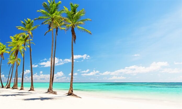 The Best Beach Clubs in the World The Best Beach Clubs in the World